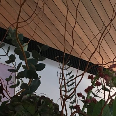 Никита Терешков