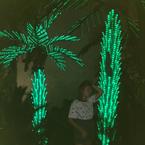 Ирина Тищенко