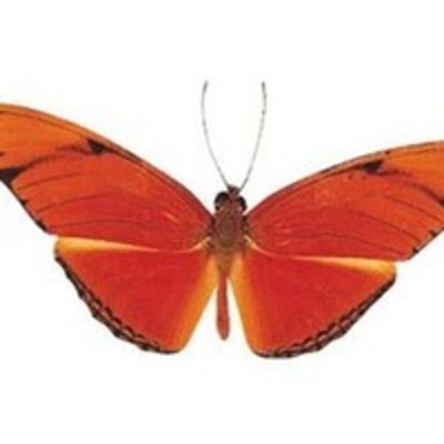 Юлия Худорожкова