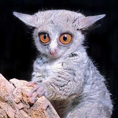 Катя Галактионова