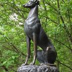 Микола Дорох