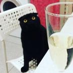 Лена Дейнеко