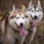 Кристина Позднякова