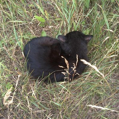 Лариса Кусина