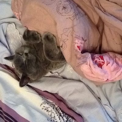 Светлана Ратникова