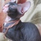 Марина Золотко