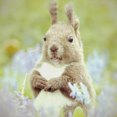 Наталия Тумасова