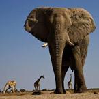 Михаил Сугробов