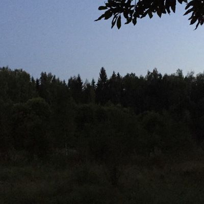 Никита Барбазюк