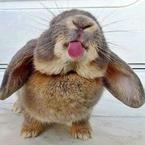 Мария Явловская