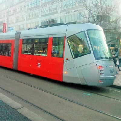 Виктор Васильев