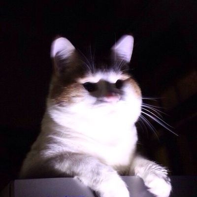 Артём Ардашев