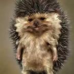 Муслим Аликберов