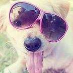 Виталий Логинов