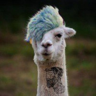 Герман Селезнев