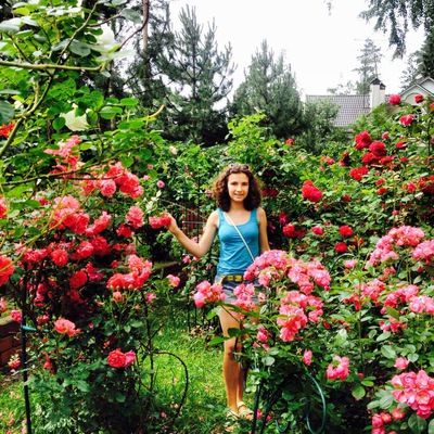 Диана Петросова