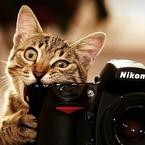 Евгения Смирнова