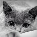 Ксюша Юрченко