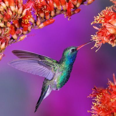 Айдана Еркингазинова