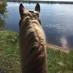 Вероника Городок