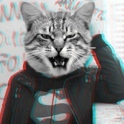 Даниил Джусоев