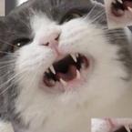 Даша Иванушкина