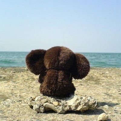 Валераа Лошадкин