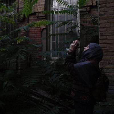 Гульнара Ли