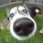 Александр Буравцов