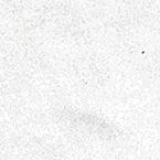 Ксюша Ефимчик