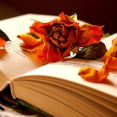 Олеся Хабарова