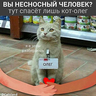 Айша Ермаян