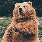 Александр Воскресенский