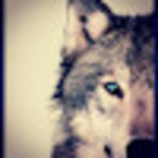 Анка Мармеладова