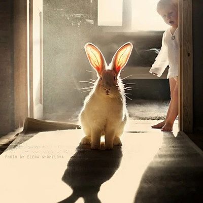 Виктория Войнова