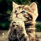 Марина Петлина