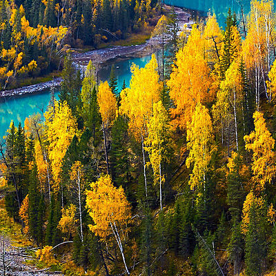 Александра Савинова