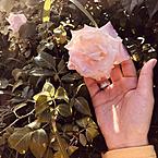 Милана Абуева