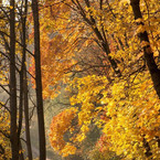 Геннадий Савинчев