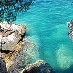 Светлана Новикова