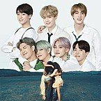 ცისი მაისურაძე