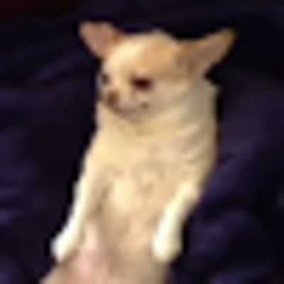 Элеонора Ягодинская