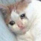 Арина Мажаева