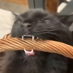 Мария Острикова