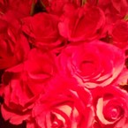 Оксана Болотина