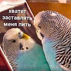 Александр Петров