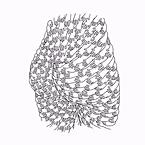 Оля Шаповалова