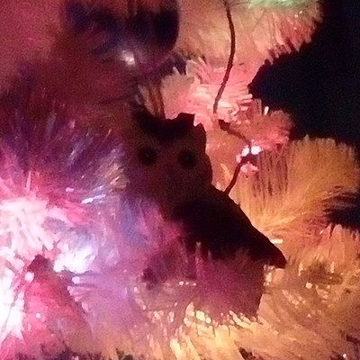 Надя Фёдорова