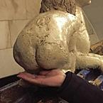 Александра Шпак