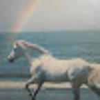 Ghazi Abdulghaphurov